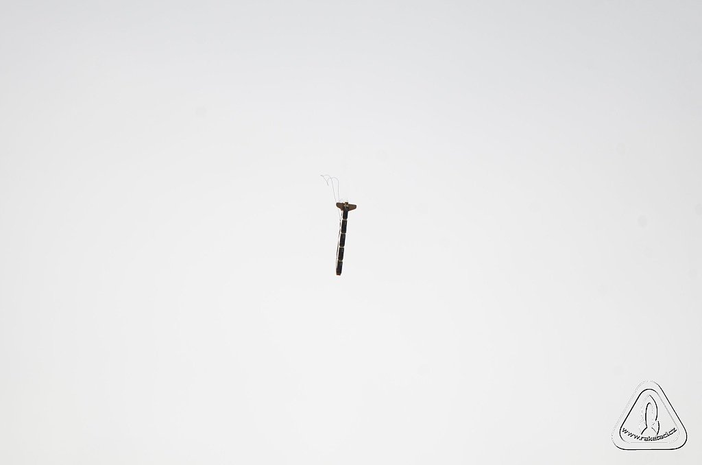 2013 Suche 29062013 Michal